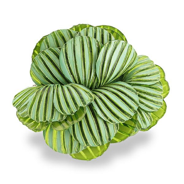 WEB限定】フランス製花びらモチーフブローチ/5180053詳細情報